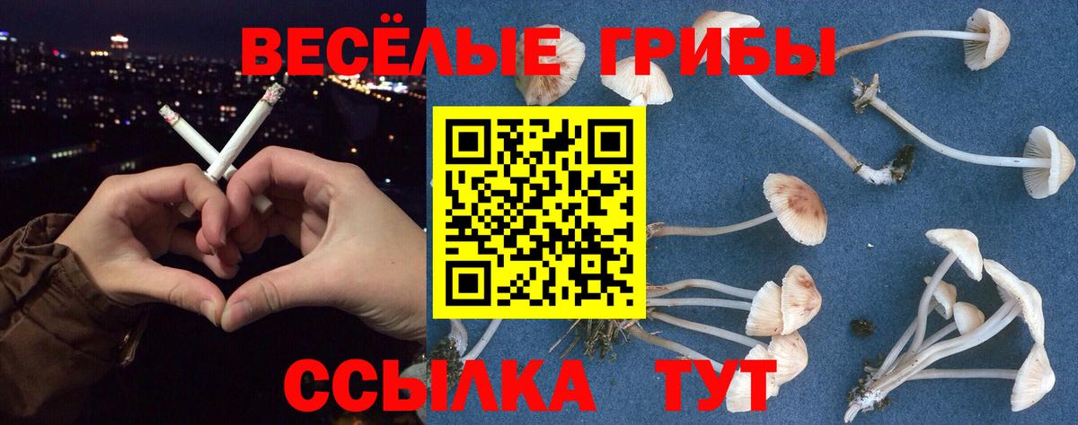 Псилоцибиновые грибы MAGIC MUSHROOMS  Псилоцибиновые грибы Psilocybe  Всеволожск  Вход с VPN 